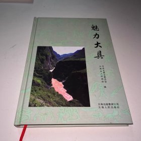 魅力大具