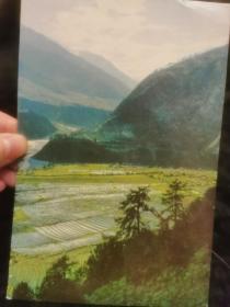 老明信片 西藏风景
