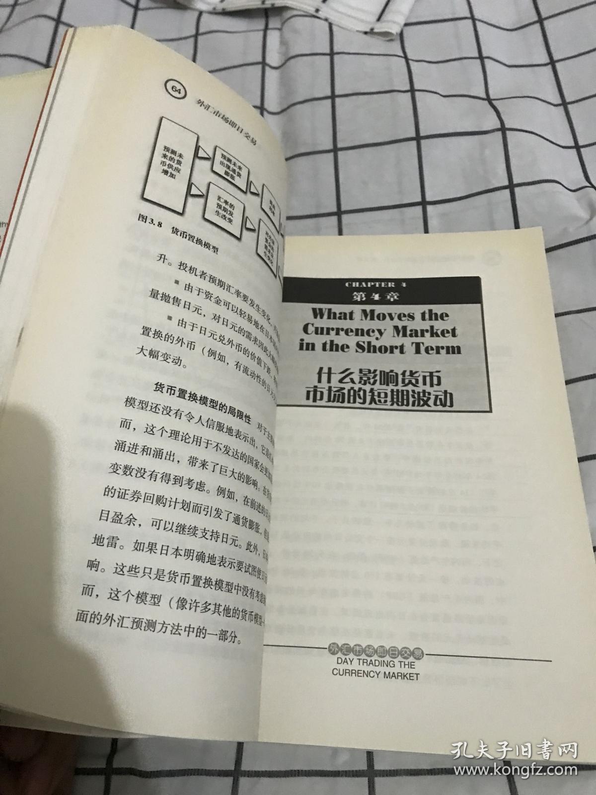 外汇市场即日交易：从市场波动中获利的技术和基本策略（修订版）