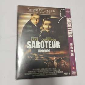 光盘 DVD 海角擒凶 1碟简装