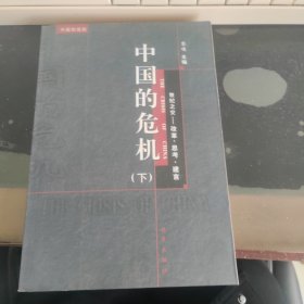 中国的危机:世纪之交—改革·思考·建言 下册