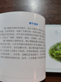 中草药野外识别手册4