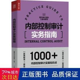 控制审计实务指南 审计 高雅青，李三喜，施莹华主编 新华正版