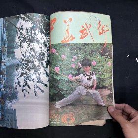 中华武术(1986年1-12期全,1987年1-6缺第2期)共17本合售