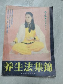 养生法集锦 武术健身精选本之一