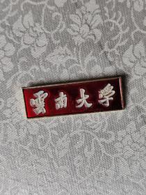 红色云南大学老徽章