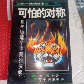 可怕的对称：现代物理学中美的探索