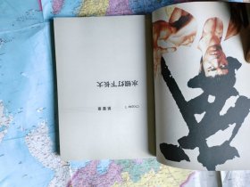 李小龙画传