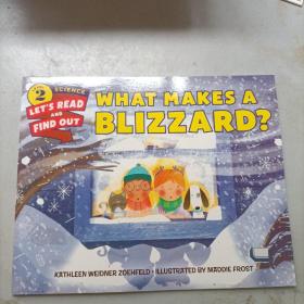 What Makes a Blizzard? 什么是暴风雪？儿童读物绘本英文图书