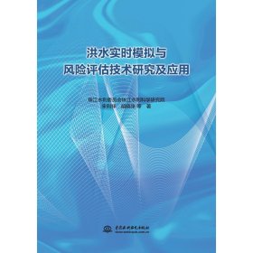 洪水实时模拟与风险评估技术研究及应用