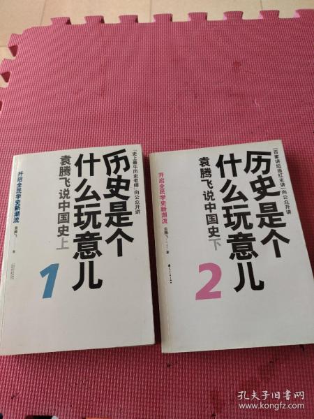 历史是个什么玩意儿1：袁腾飞说中国史 上