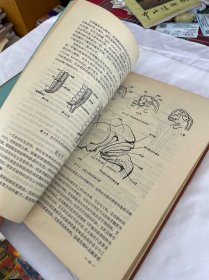 （获第五届全国优秀科技图书二等奖）神经解剖学 精装