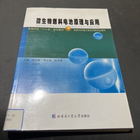 高等学校“十二五”规划教材·市政与环境工程系列研究生教材：微生物燃料电池原理与应用