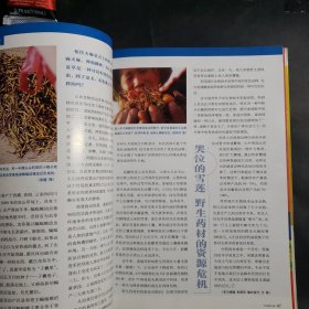 中国国家地理2003年（4期）