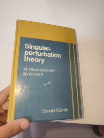 singular perturbation theory（内有笔记划线）