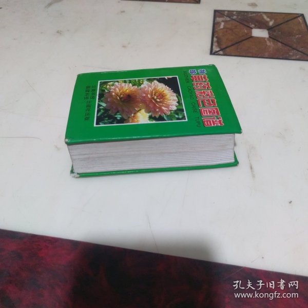 袖珍青草药彩色图谱