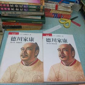 (德川家康)第六部  第七部   两本