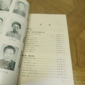 中原抗战（原国民党将领抗日战争亲历记）