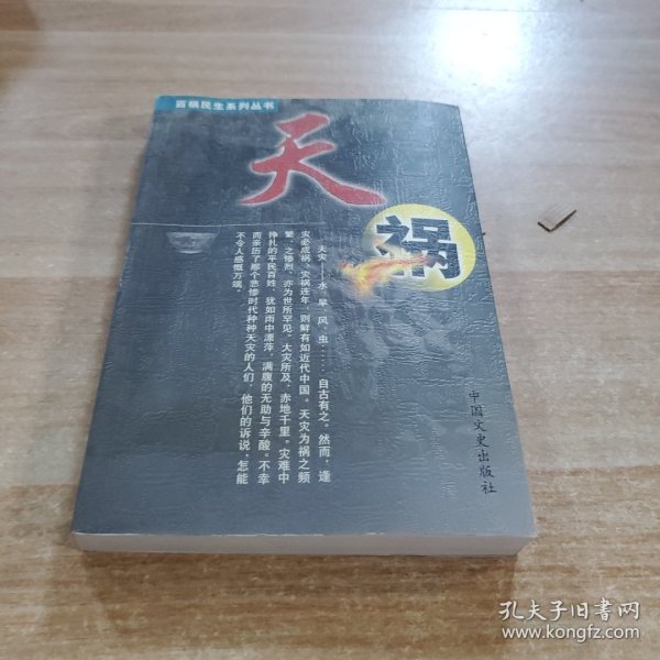 黑色大历史：洋人天下（洋祸）