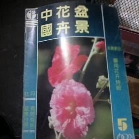 中国花卉盆景 1992.5 药用花卉特辑