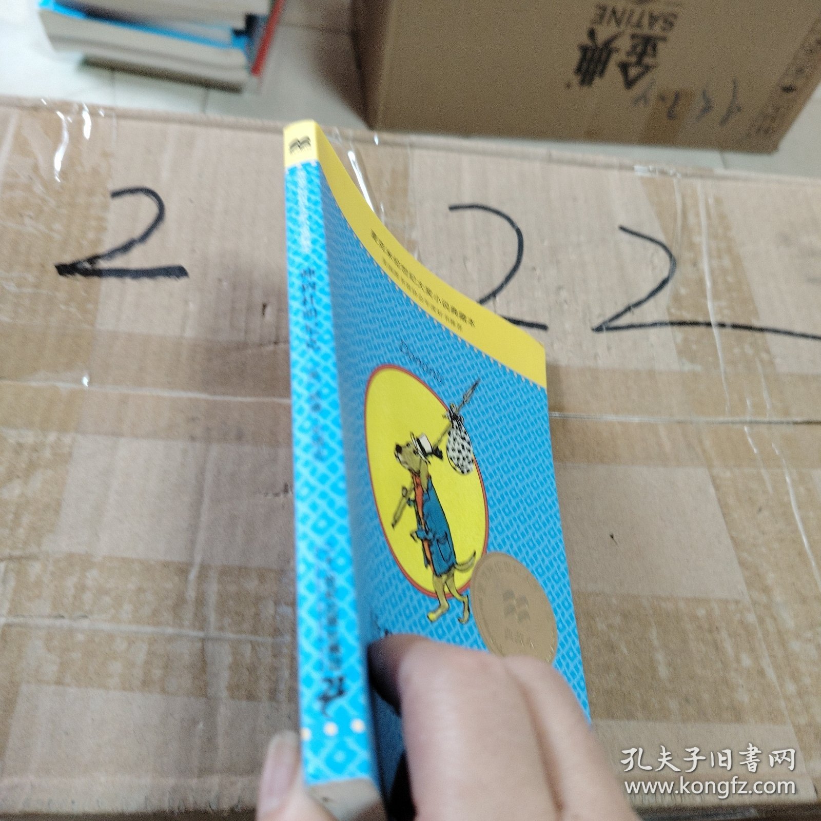 麦克米伦 世纪大奖小说典藏本