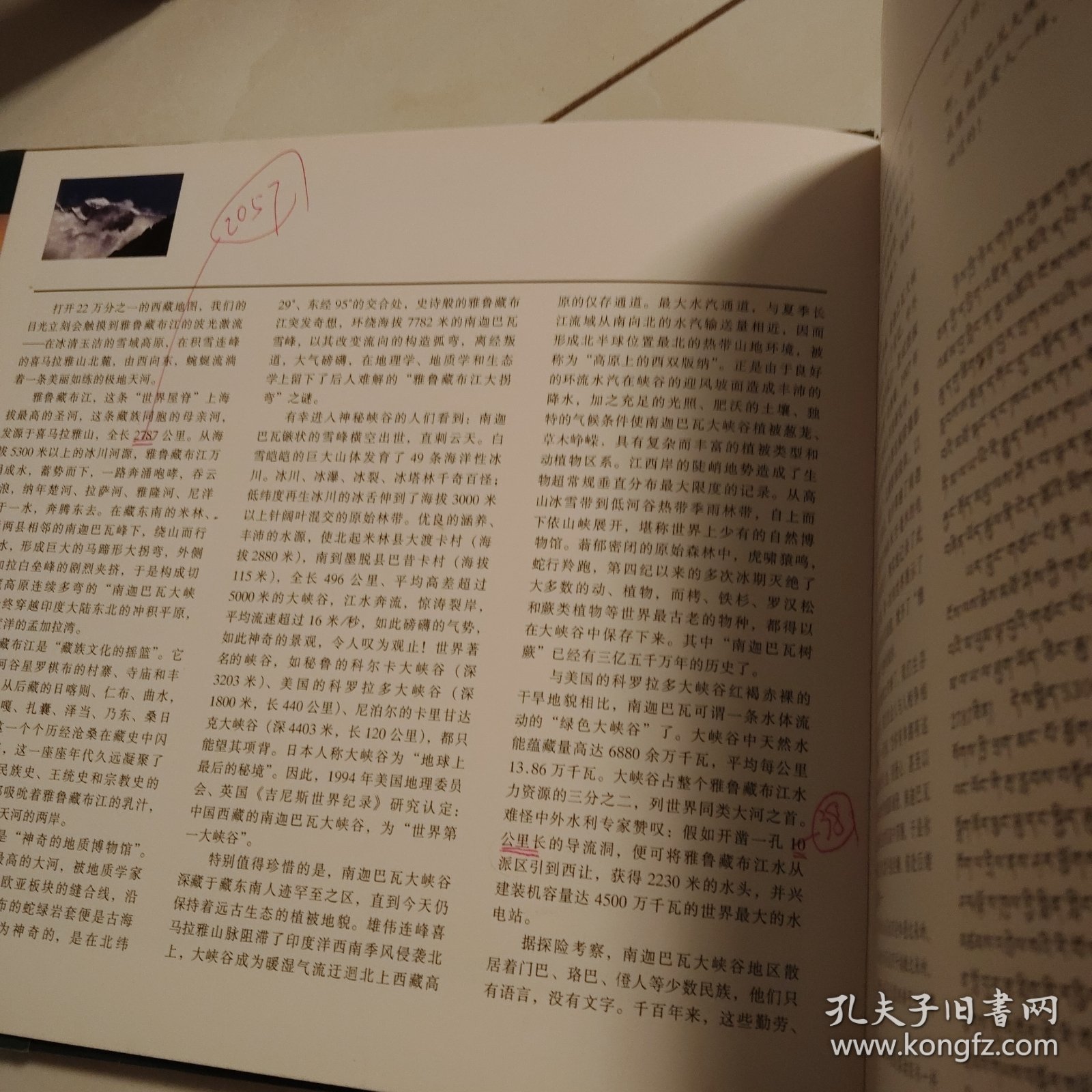 南迦巴瓦大峡谷:绿色峡谷揭密