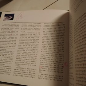 南迦巴瓦大峡谷:绿色峡谷揭密