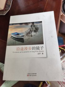 沿途漫步的镜子