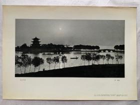 许颖摄影作品《武汉东湖》
一版一印，印量1500，1961年5月上海人民美术出版社