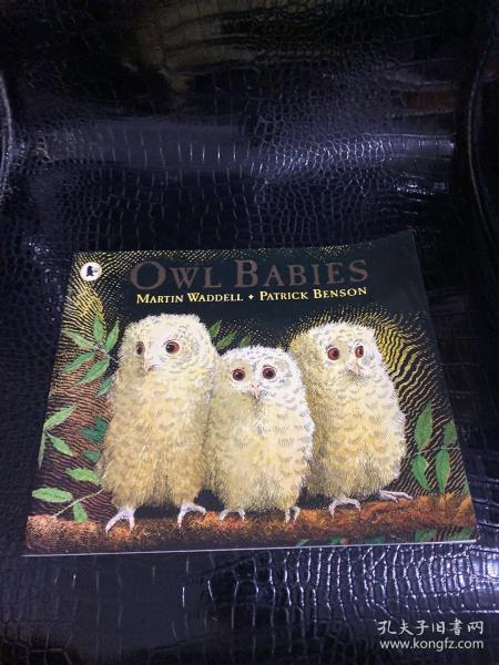 Owl Babies