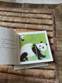 小小自然图书馆全(9册合售)海豚·河马·北极熊·穴兔·企鹅·袋鼠·母鸡·熊猫·猫。