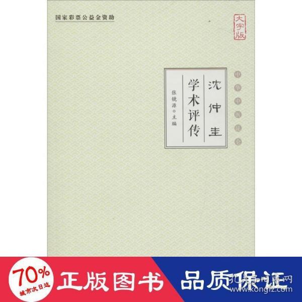 沈仲圭学术评传（大字版）