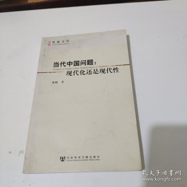 当代中国问题：现代化还是现代性