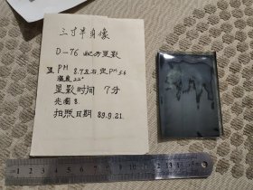 汉口品芳照相馆照片袋2 内有一张底片