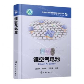 锂空气电池(精)/先进电化学能源存储与转化技术丛书