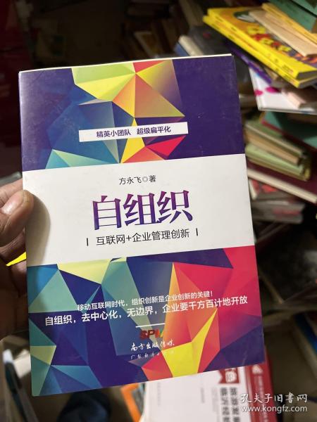 自组织：互联网+企业管理创新