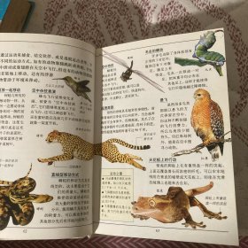 动物百科——彩图mini百科