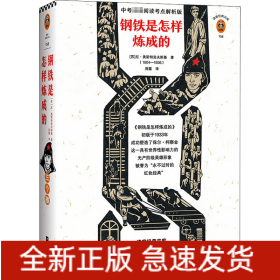钢铁是怎样炼成的 中考阅读考点解析版 未删节全译本