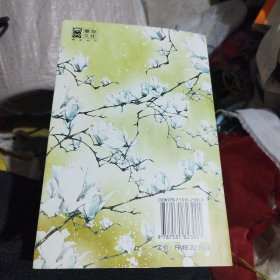 长安幻夜：小说版2