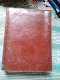 皮革技术杂记 本书是一厚本1992年的原稿笔记