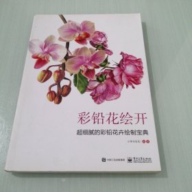 彩铅花绘开 超细腻的彩铅花卉绘制宝典（全彩）