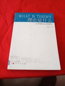 理论是什么：文学理论反思研究