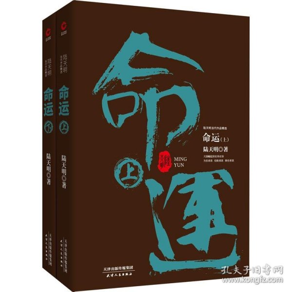 陆天明当代作品精选：命运（套装全2册）