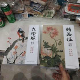 国画精品班 国画大师班 9册合售