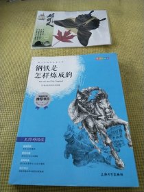 中小学推荐阅读 钢铁是怎样练成的 青少版无障碍阅读