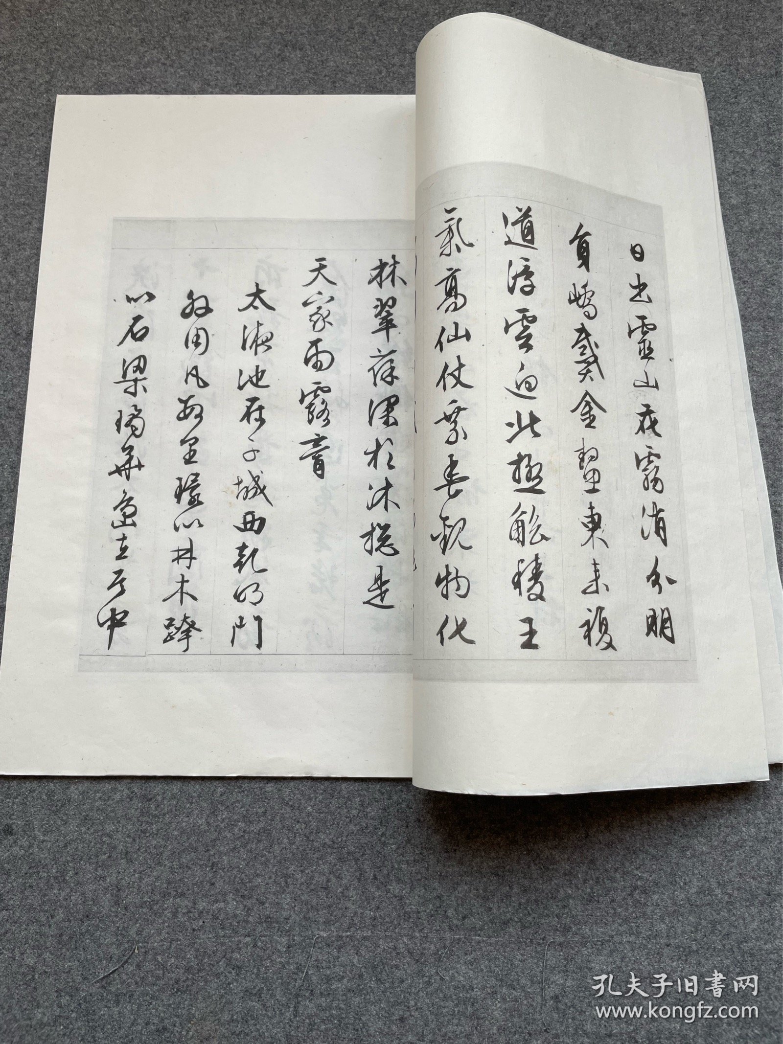 明文徵明西苑诗，珂罗版精印