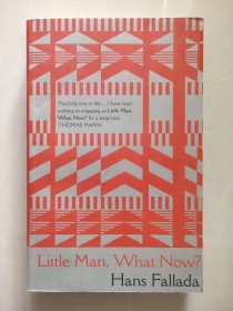 Little Man-What Now？