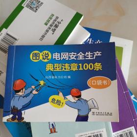 图说电网安全生产典型违章100条（口袋书）