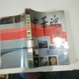 中華魂叢書愛國卷