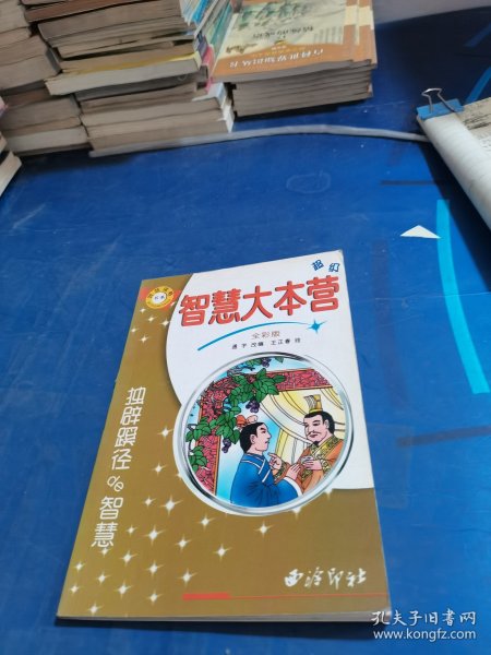 超级智慧大本营：独辟蹊径的智慧